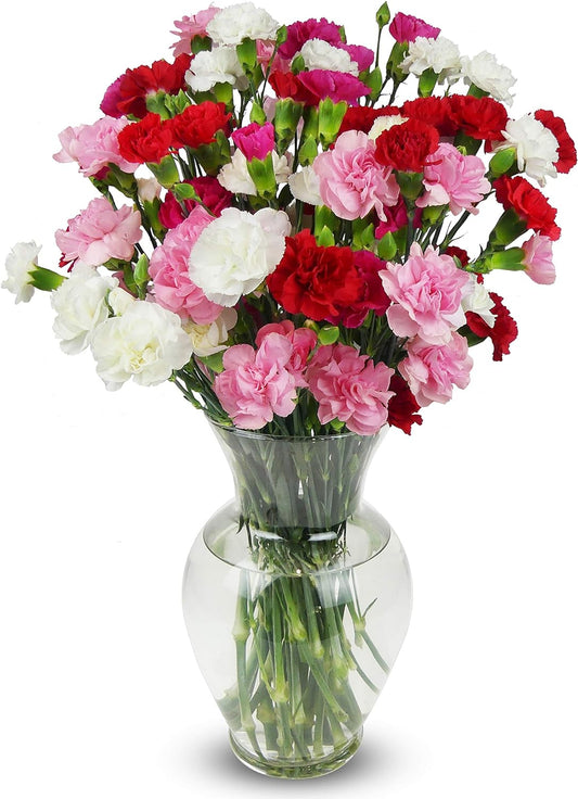 BENCHMARK BOUQUETS - 20 Stem Rainbow Mini Carnations (Glass Vase Included), Next-Day Delivery, Gift Fresh Flowers for Birthday, Anniversary, Get Well, Sympathy, Graduation, Congratulations, Thank You